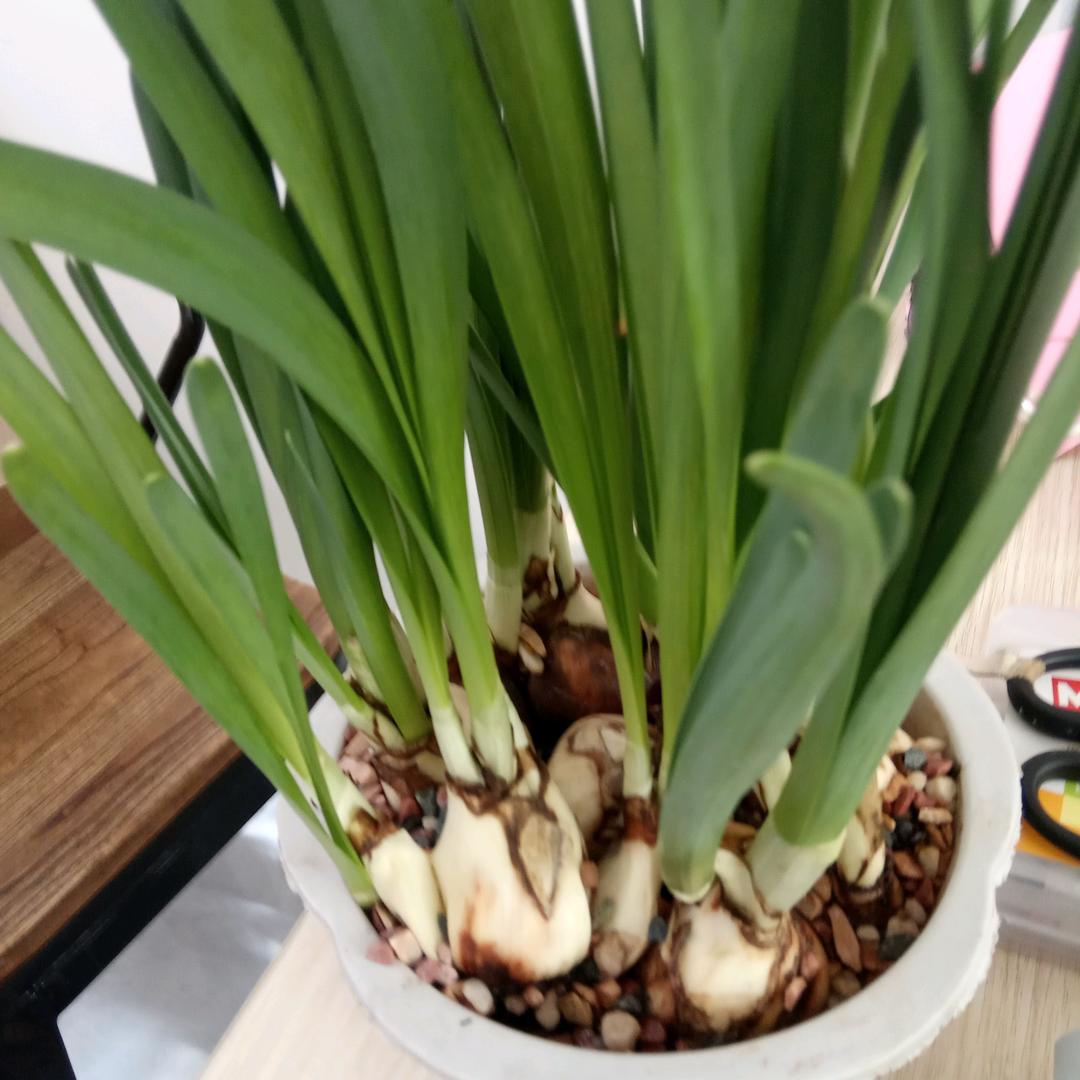 家里蹲小伙