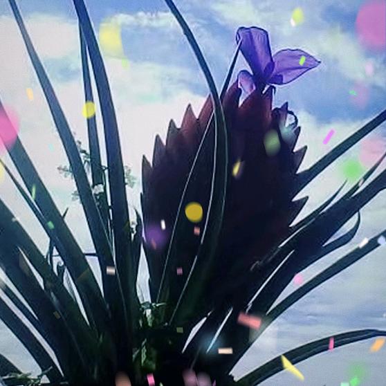 时光清浅（古法护眼）