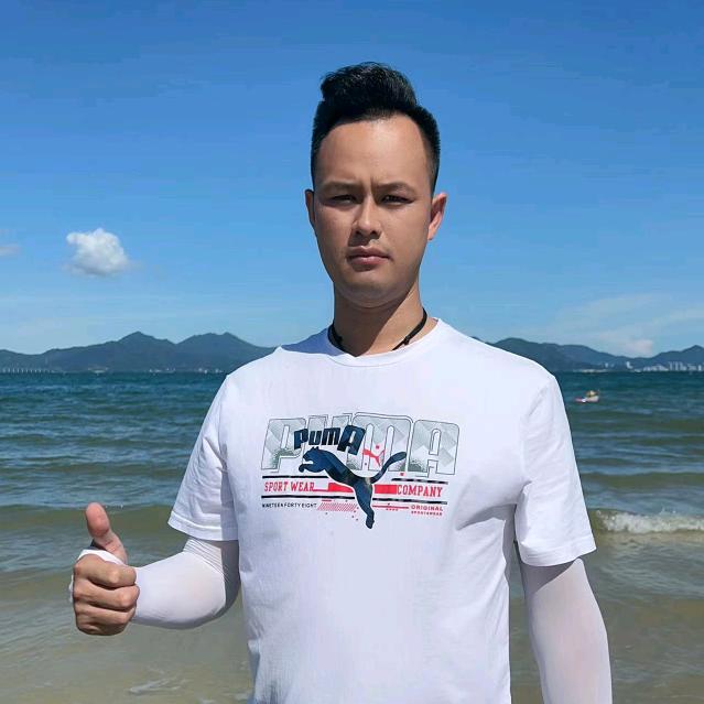 丁力