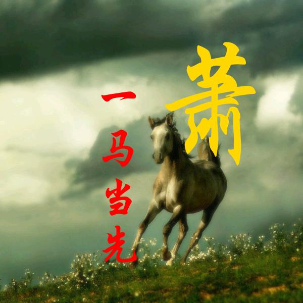 孤独和酒☞☞