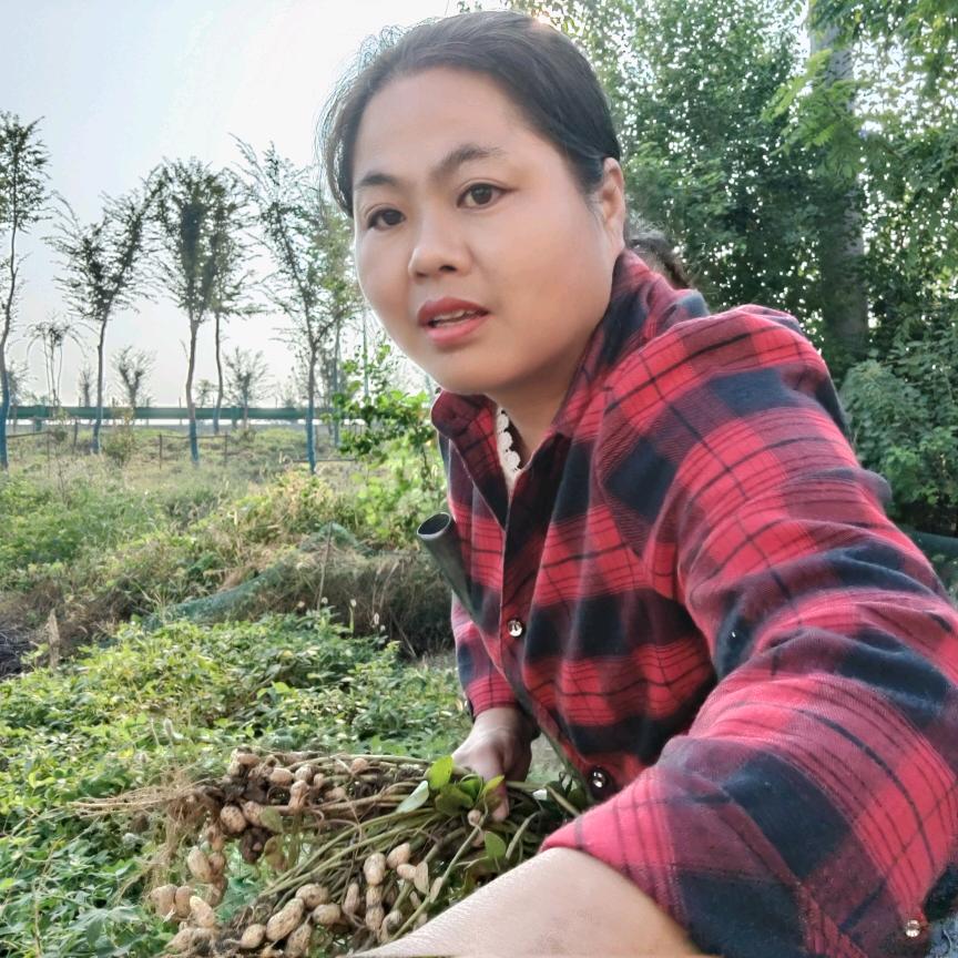 艳娜姐安徽