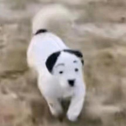 冬葵