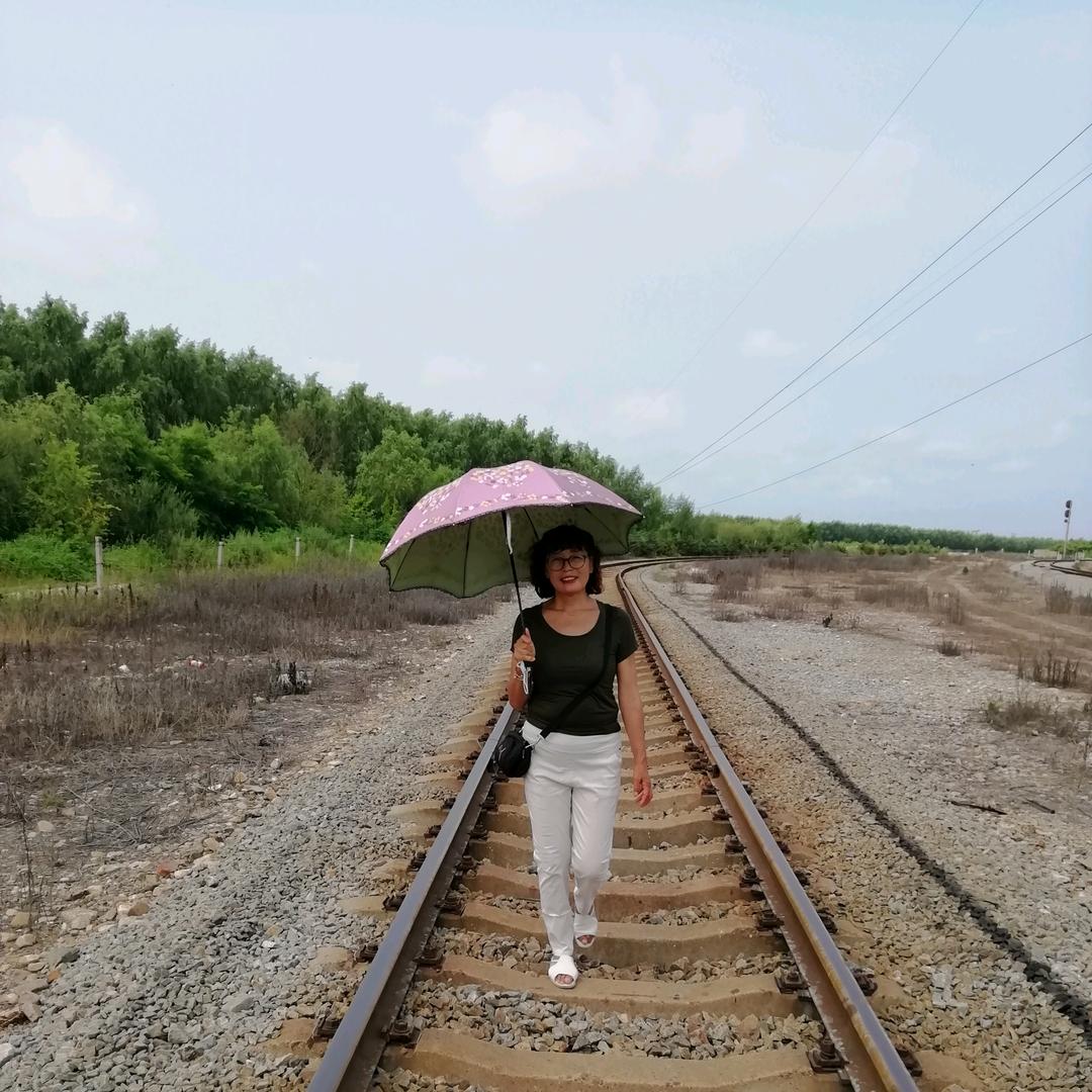 燕子（手机摄影）