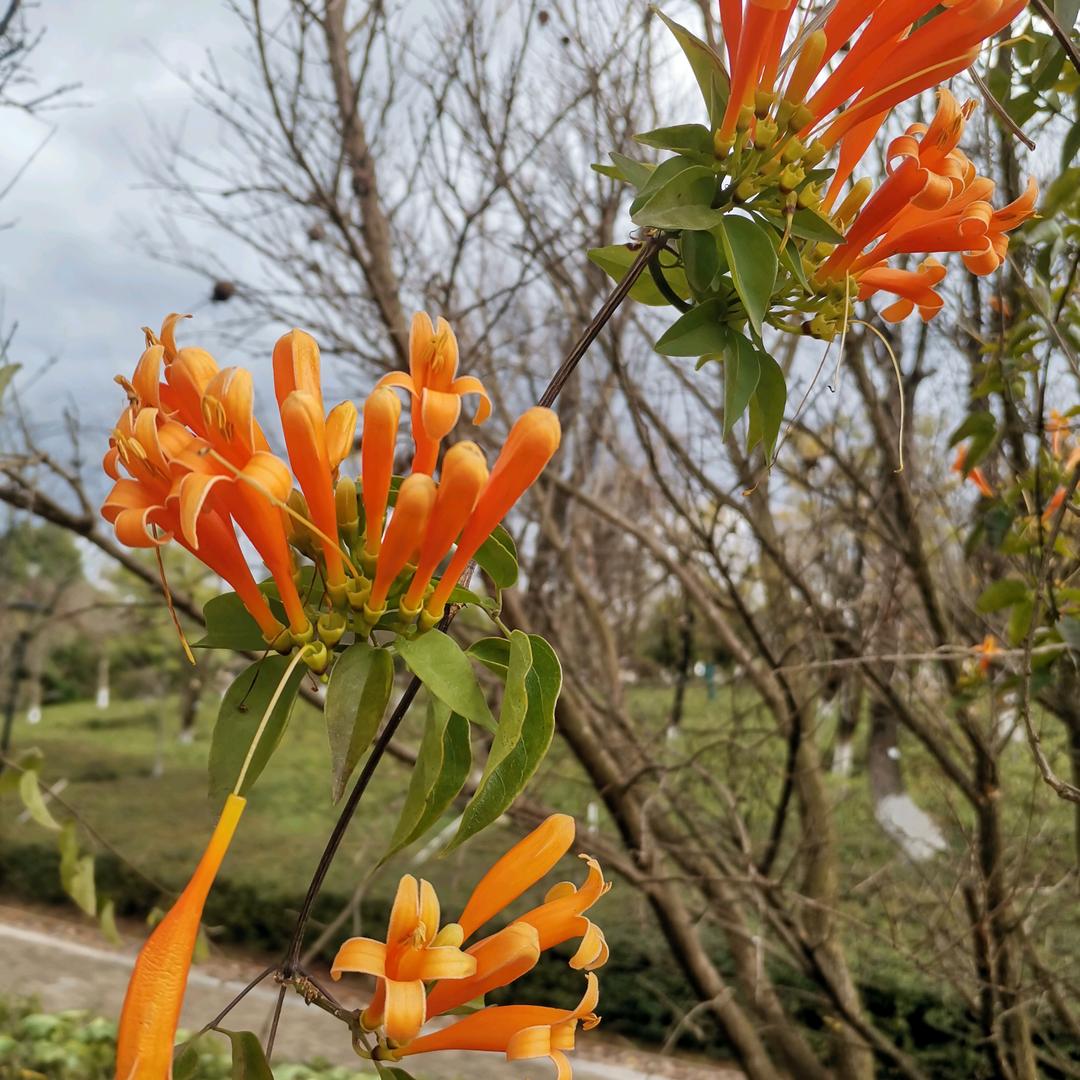 开心过好每一天