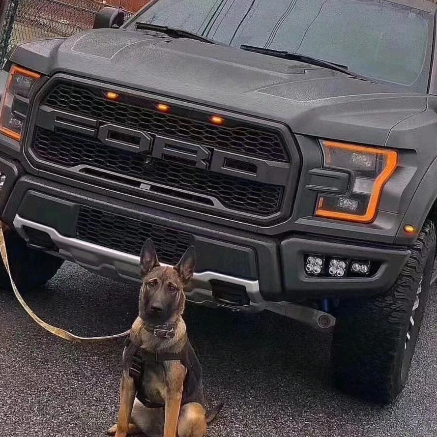 ꦿ᭄ﻬঞ有你真好꧔ꦿ໌້ᮨ࿐