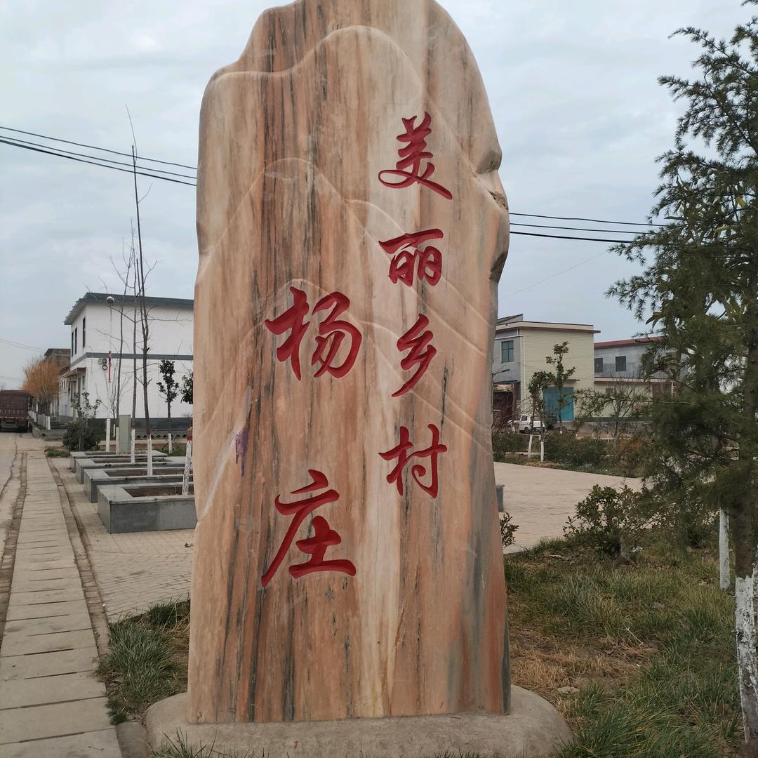 山前杨庄村建立哥