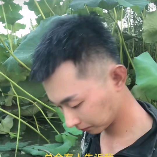 陈天高兴