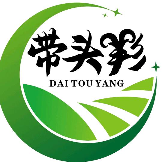 带头羏（yang )烧烤