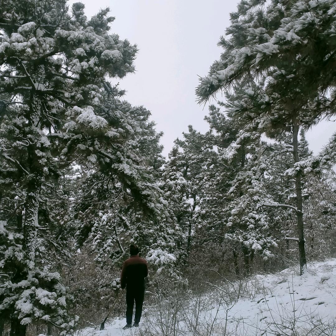 想念不该想念的人