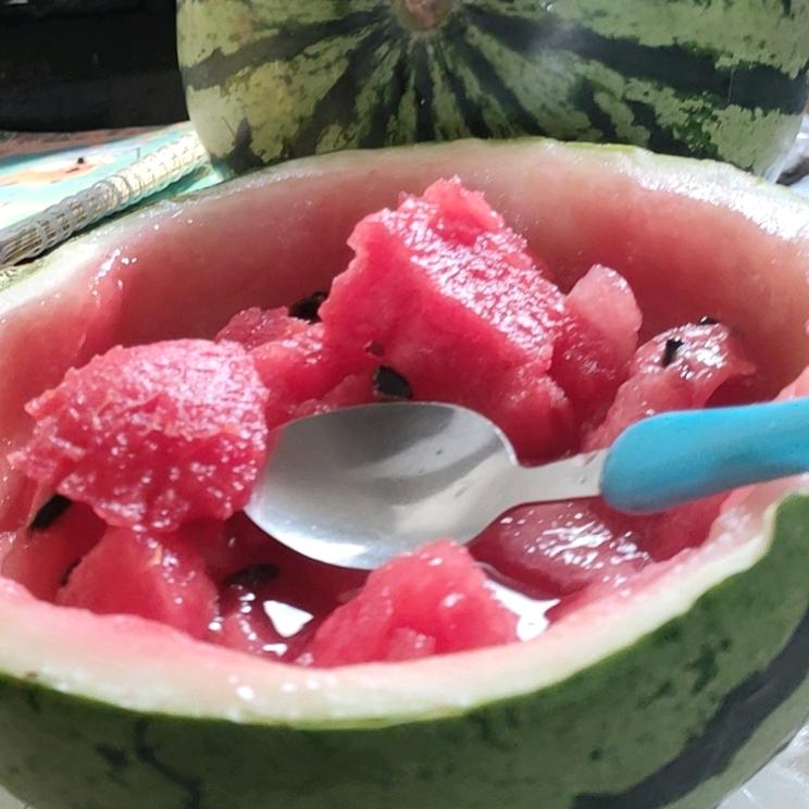 树敏