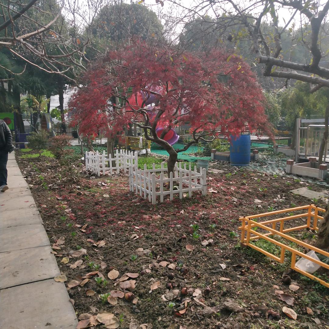 魏龙苗木绿化  防水大小工程