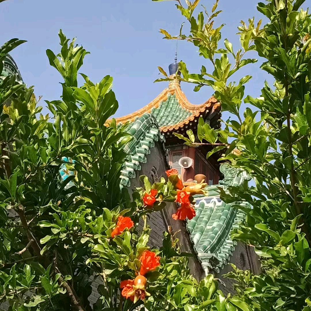 爱民