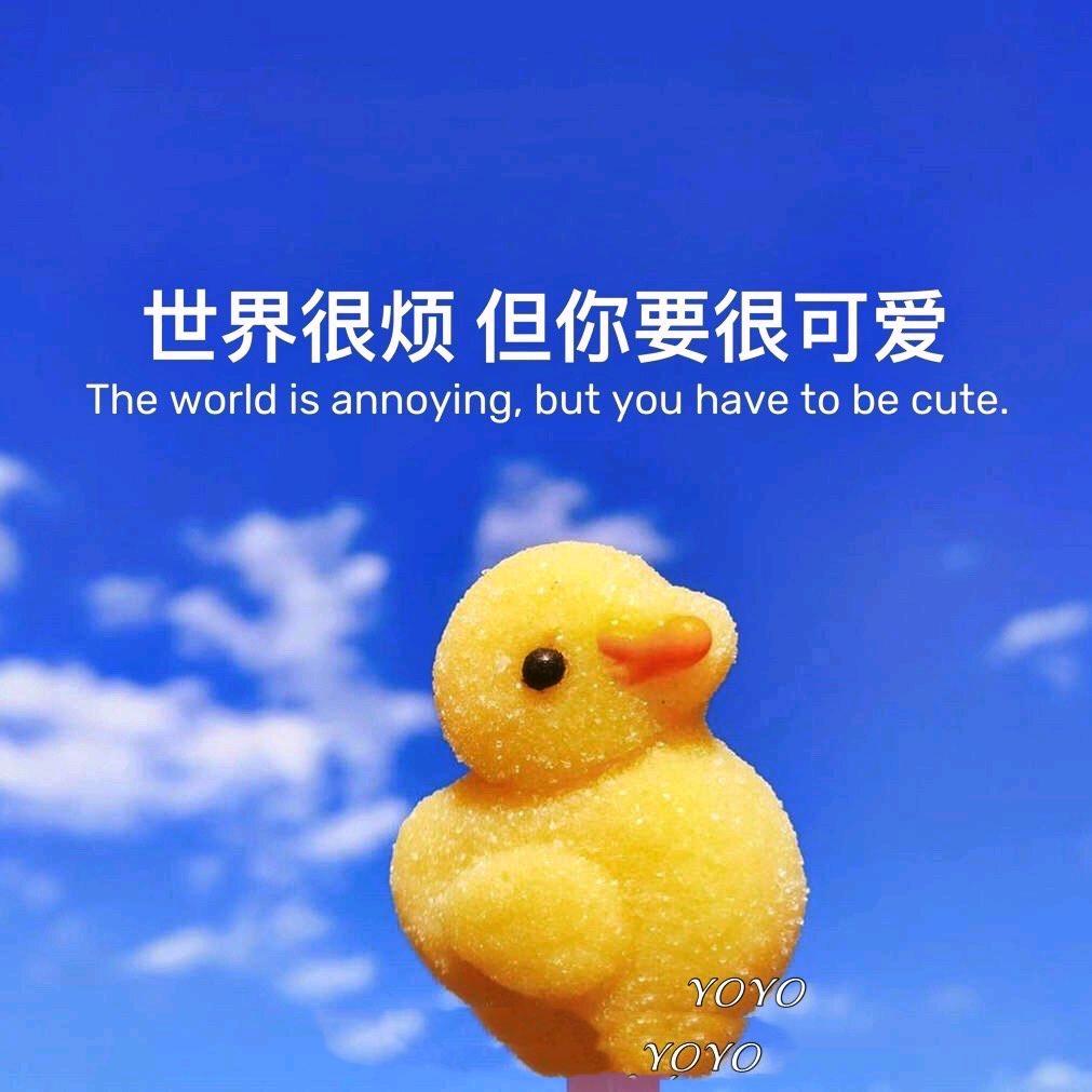 阿喆麻麻