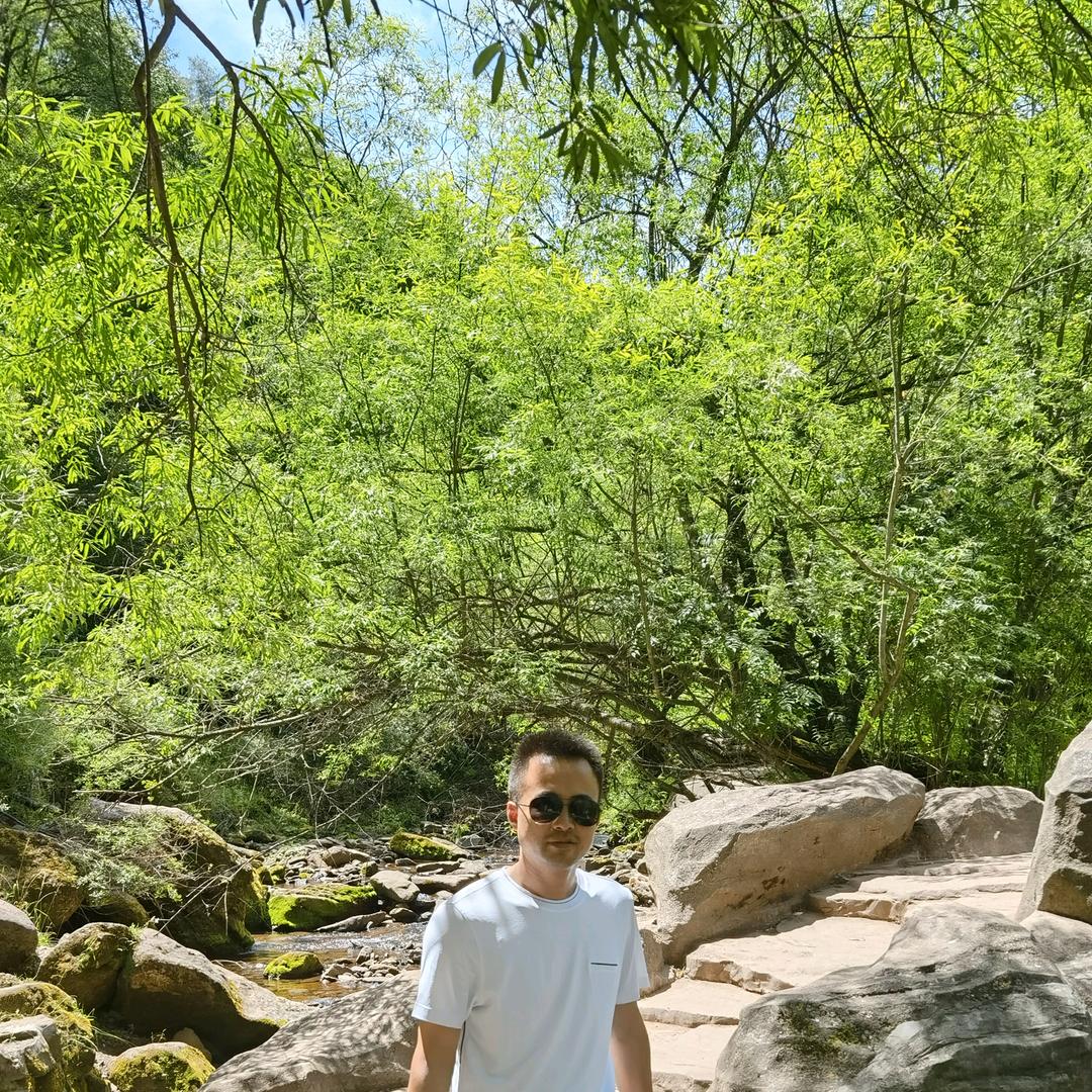 西夏寒