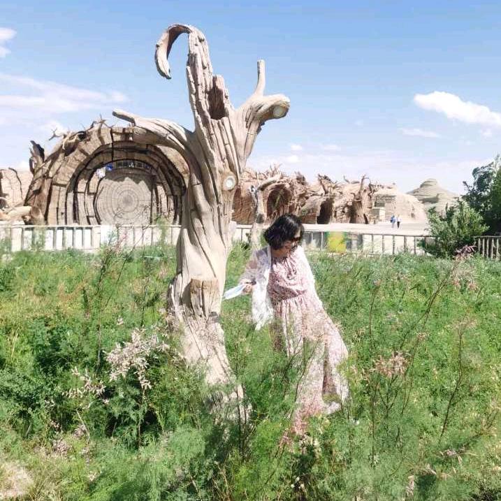 乌兹KTV➕中乌饭店