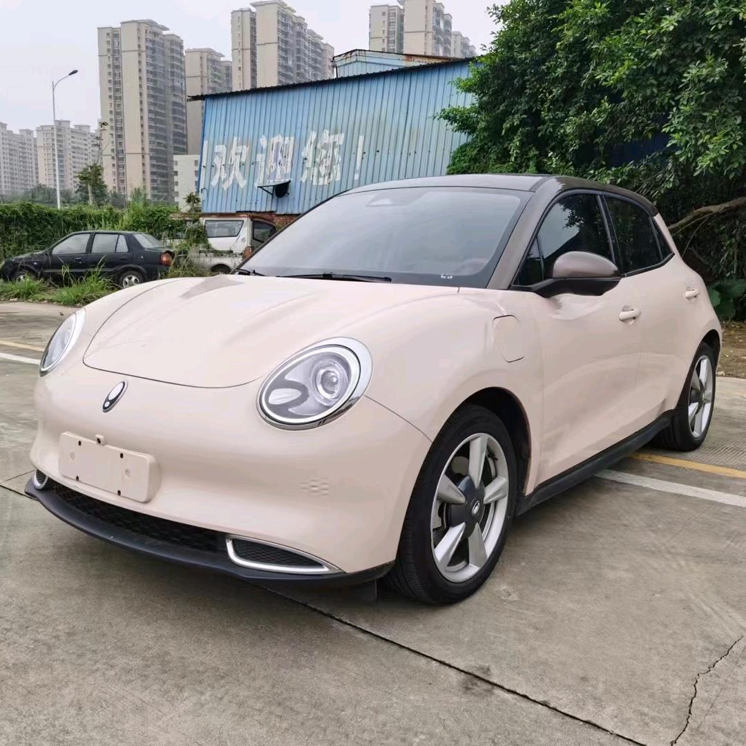 卡旗新能源（阿健）