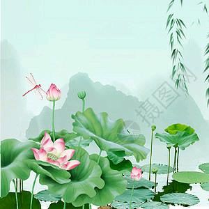 荷花
