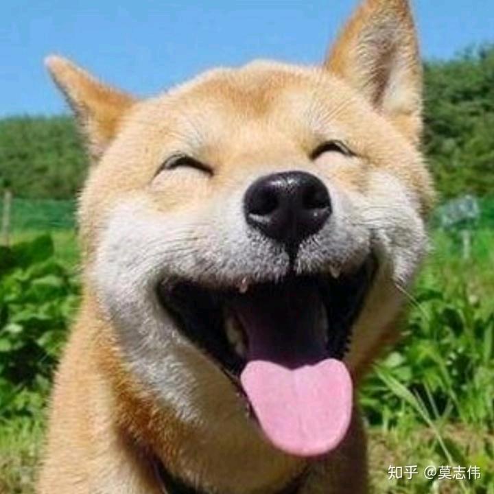 新疆地头的泥巴