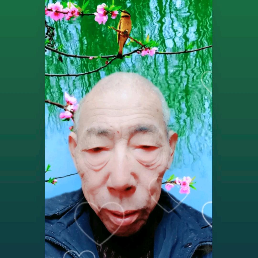 用户10320003