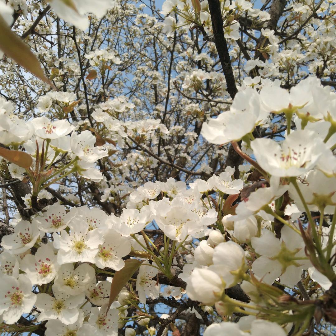 上官 。。。。。