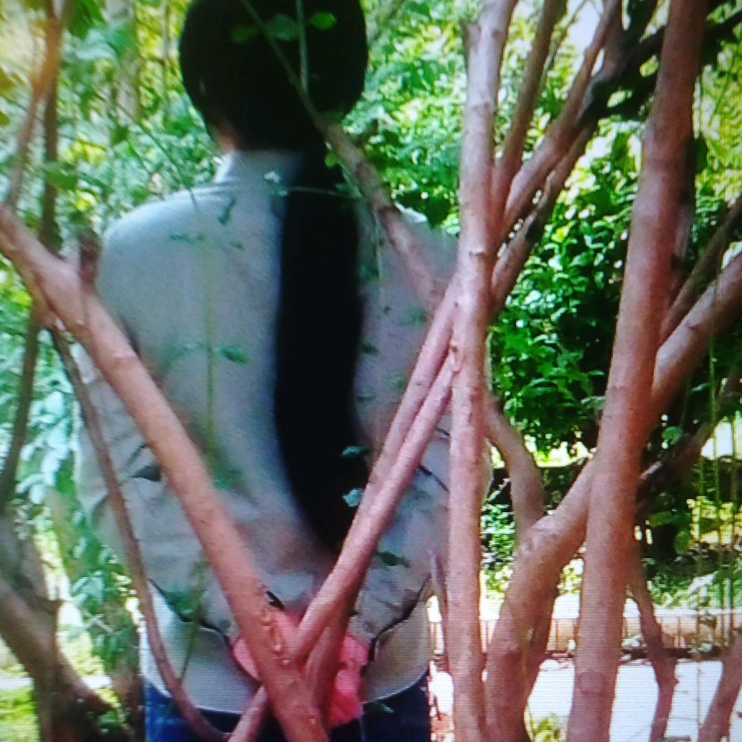 。丰珊珊，江西井冈山，纺织厂。