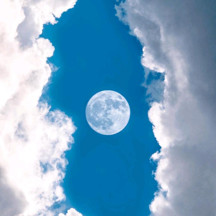 💫清风伴明月✨