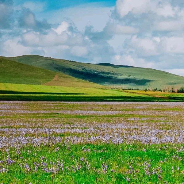 钱钱钱💰！！！