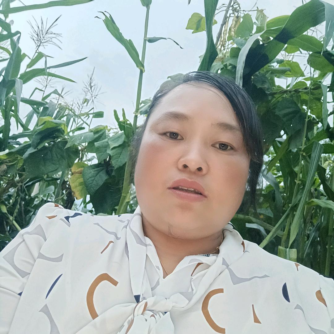 姐的骄傲你不懂