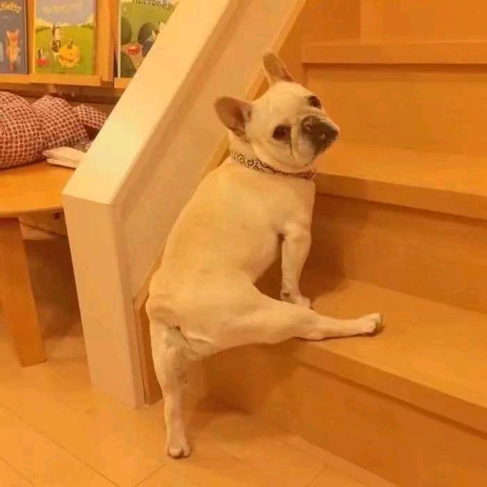 可乐˃ʍ˂