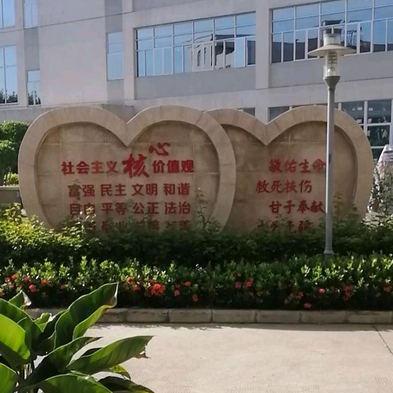 玉树临疯