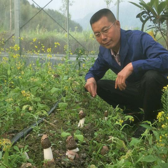 旺源恒山珍刘东明