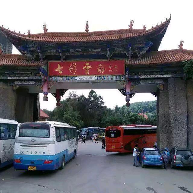 骑着大象去旅行！