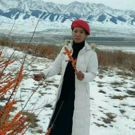 哈密沙棘女人农副产品