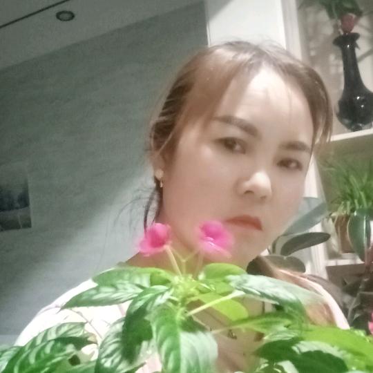 定西出租车老郭