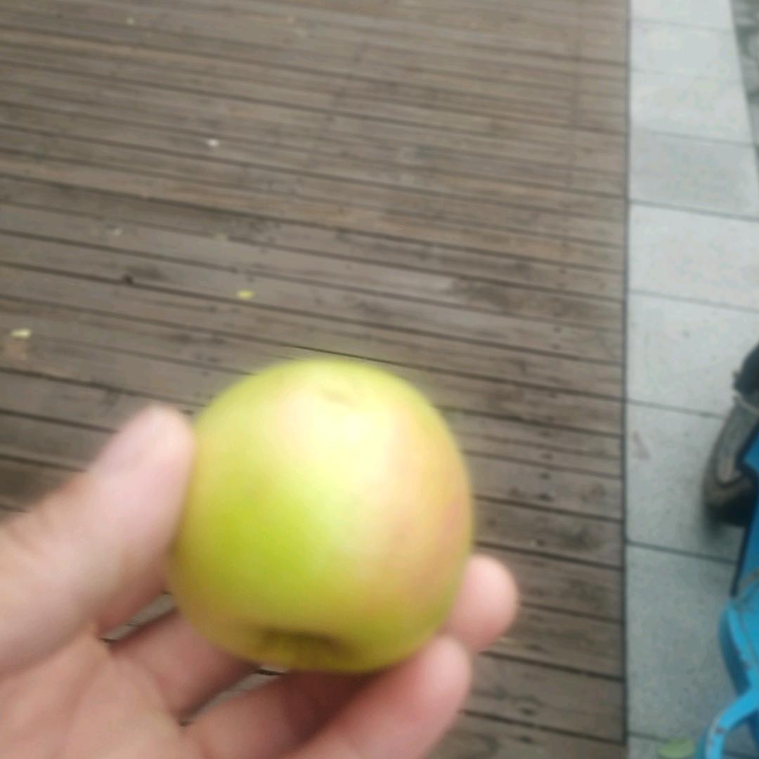 渔猎户外用品