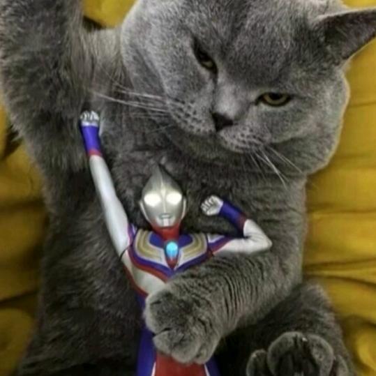 咸鱼工作室老陈