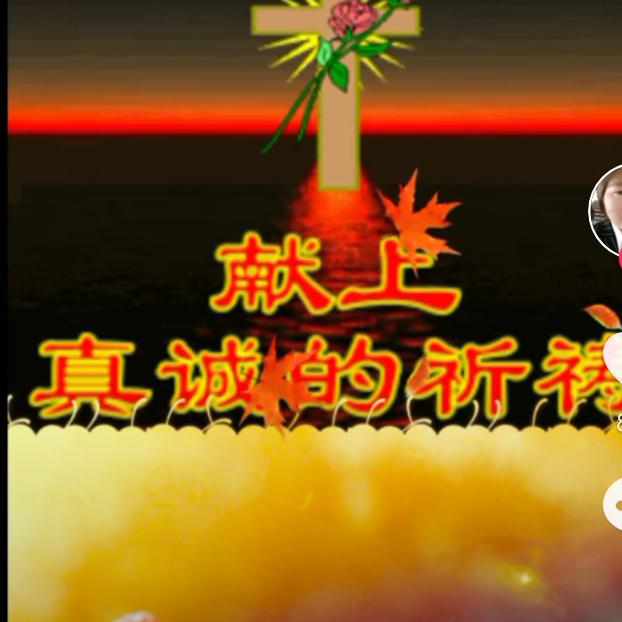 蔡菜在努力