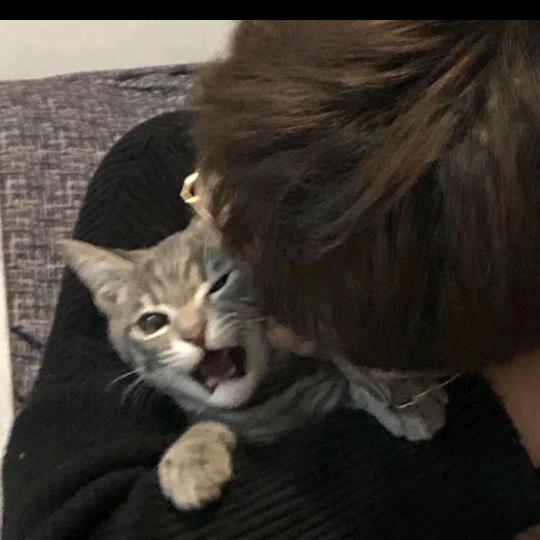 极个别人