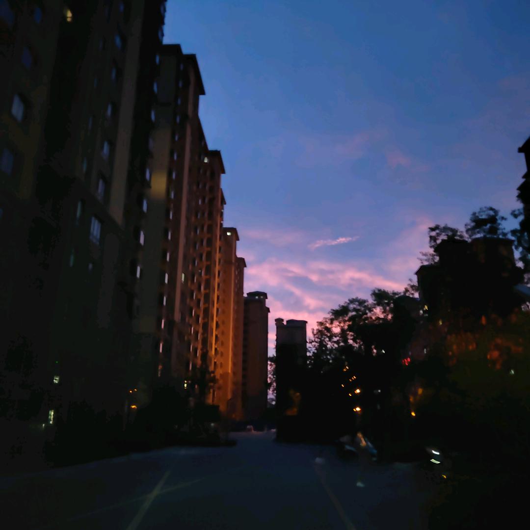 《随风》