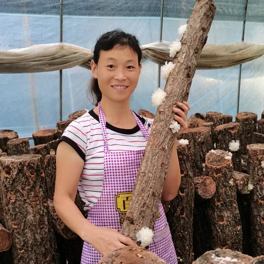 通江银耳姐姐@农广