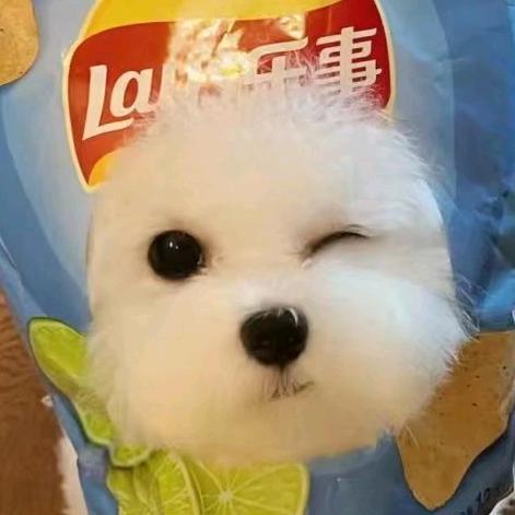 我真的知道啦