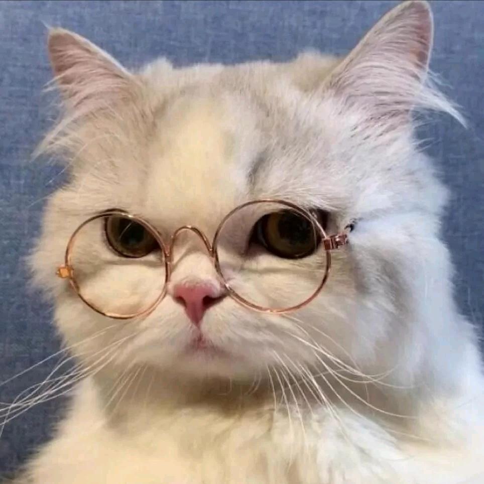 🌻-请叫我大糖球