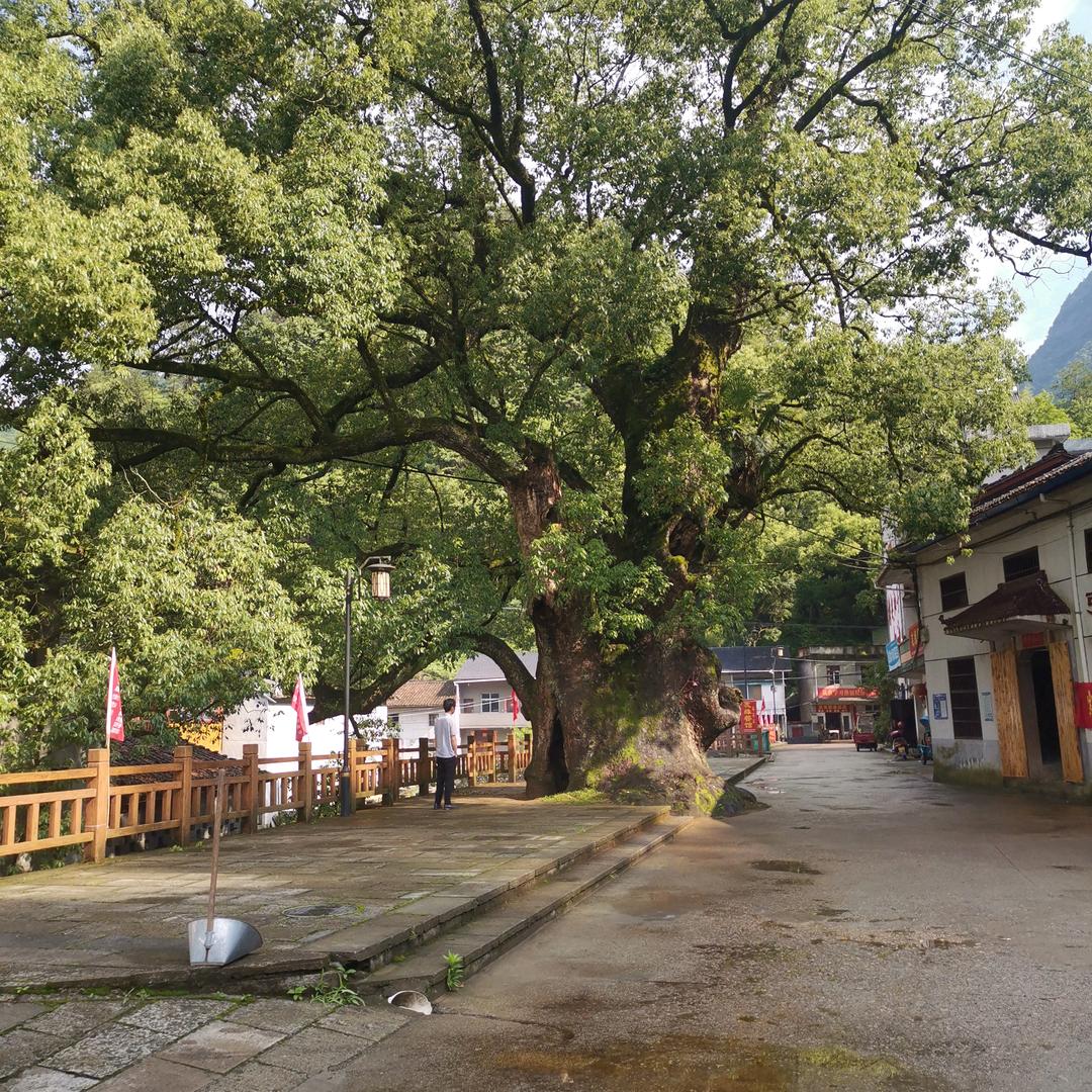 GHHJ笑对人生拒绝私聊。