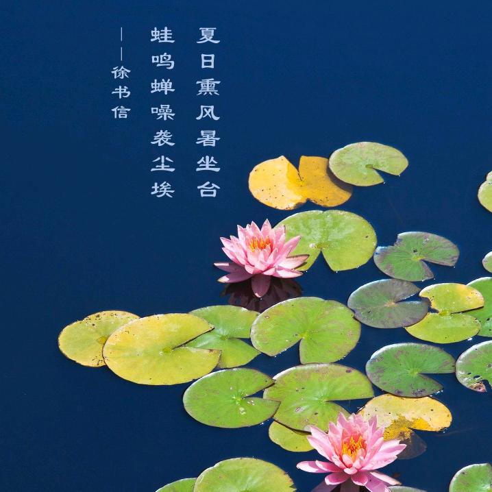 马军农资