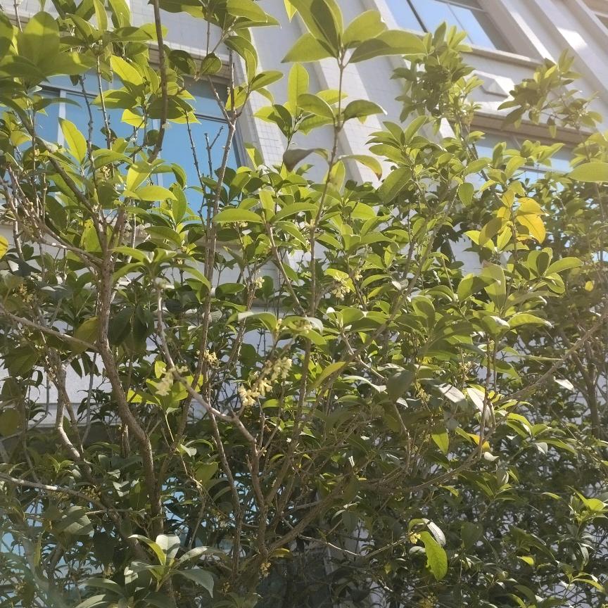 萬事如意~富巴实业