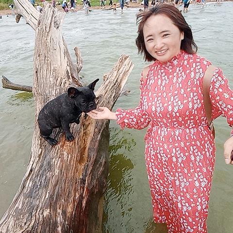 滕艾