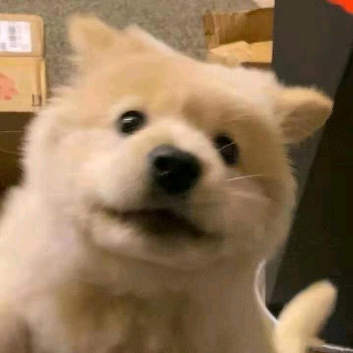 C.