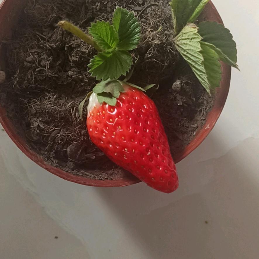 温柔以待～