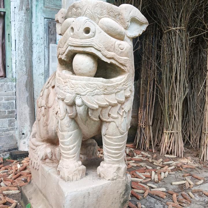 金石为开，精诚所至每周六14:00开播放