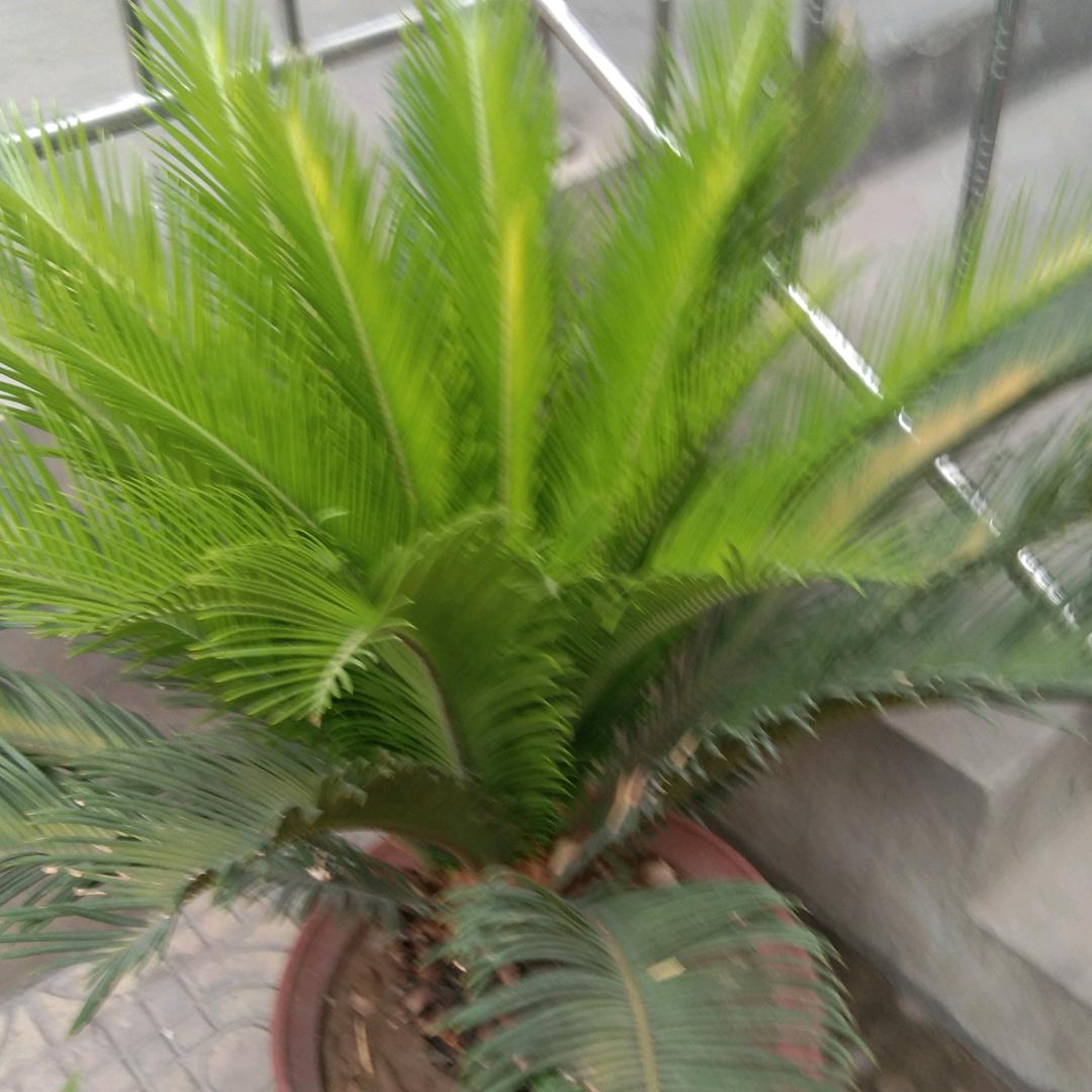 冷漠
